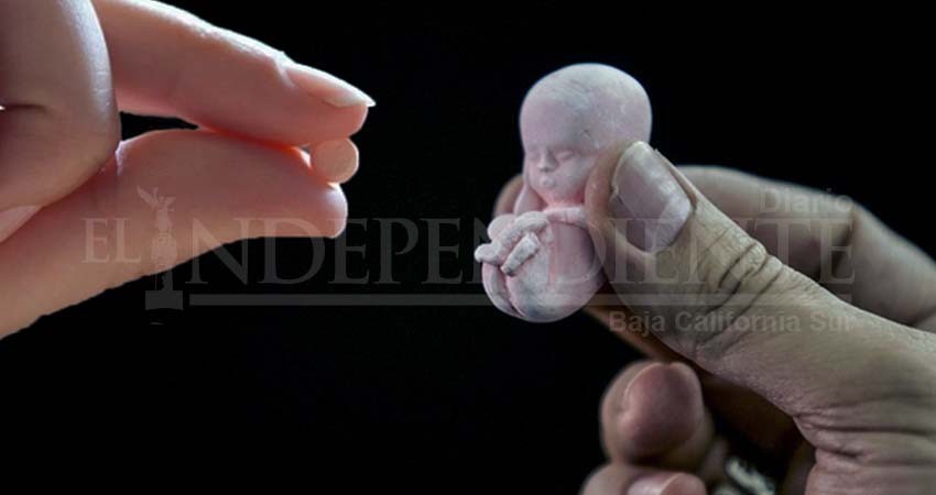 Proponen despenalizar interrupción de embarazos menores a 12 semanas en BCS