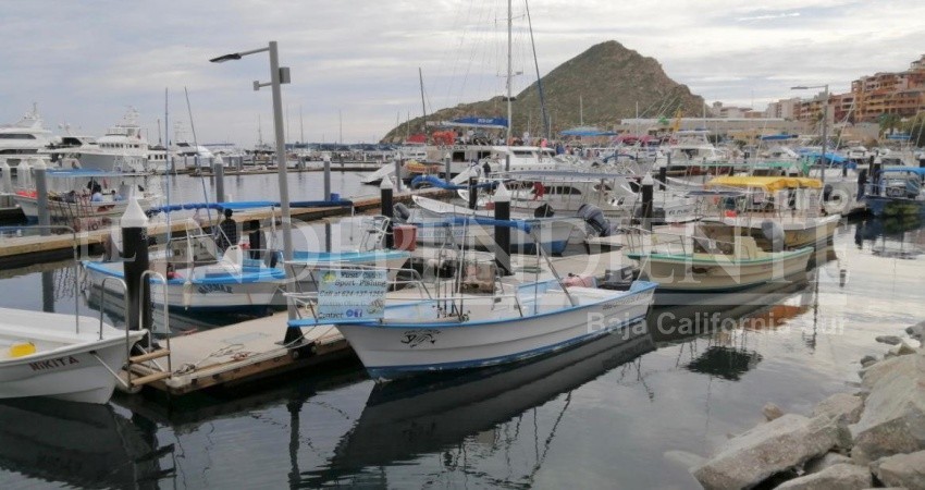 Pescadores de Los Cabos piden a Capitanía de Puerto poder pescar solo para consumo de sus familias