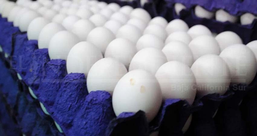 Empresas que no justifiquen alza de huevo podrían tener multa de hasta 3 mdp: Profeco