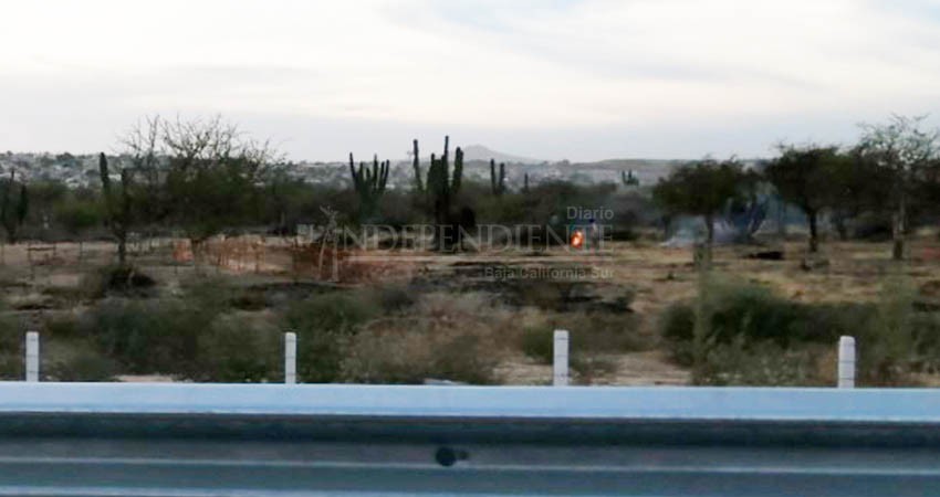 Crece invasión de terrenos en el puerto de Cabo San Lucas