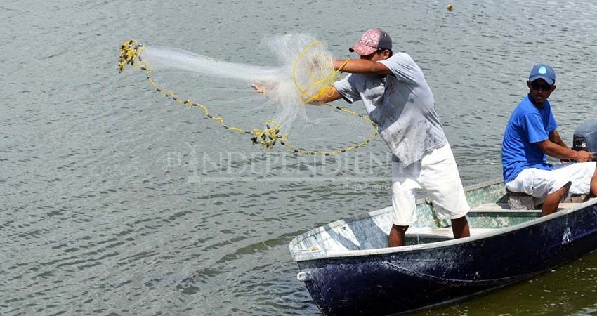 Que BCS permita pesca artesanal “para comer” durante COVID-19