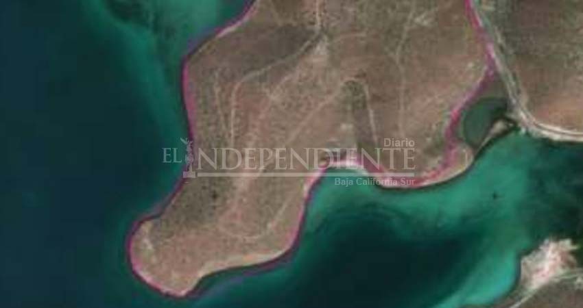 En peligro 36 hectáreas de humedales para construir una marina de “clase mundial”