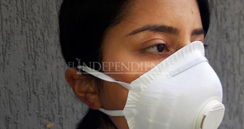 Sabor a Cabo buscará donar 5 mil cubre bocas y 5 mil pares de guantes a médicos de Los Cabos