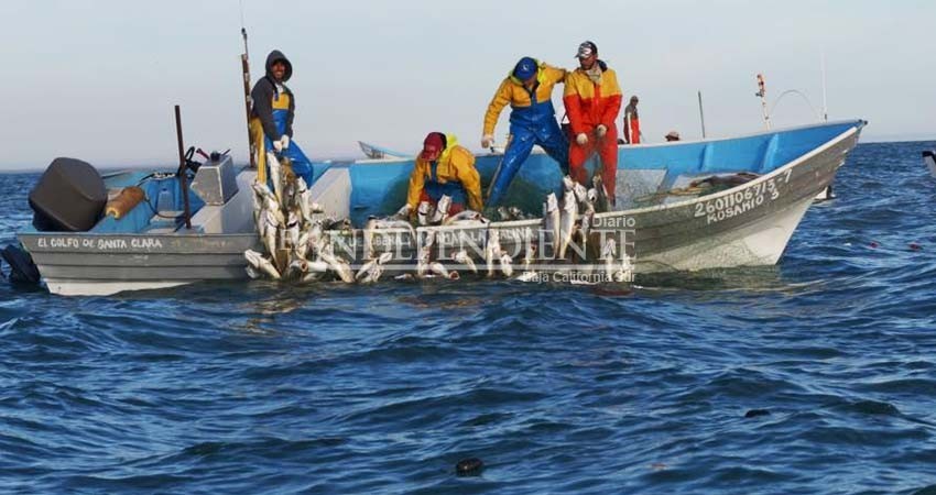 Reclaman que trámite de permisos para pesca de sustento sea engorroso
