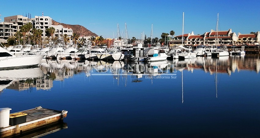 Lejana la recuperación económica en el puerto de CSL por extensión de cuarentena