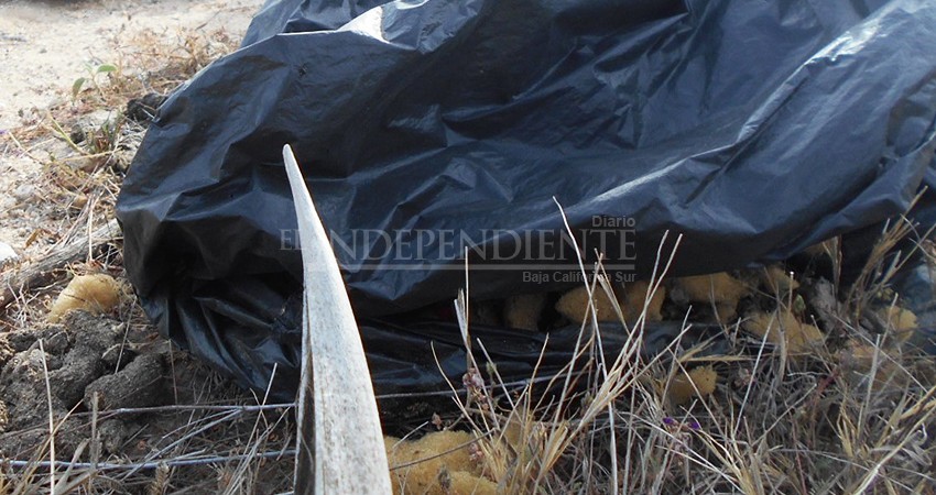 Reportan contaminación por basura doméstica en inmediaciones del arroyo de Catarina 