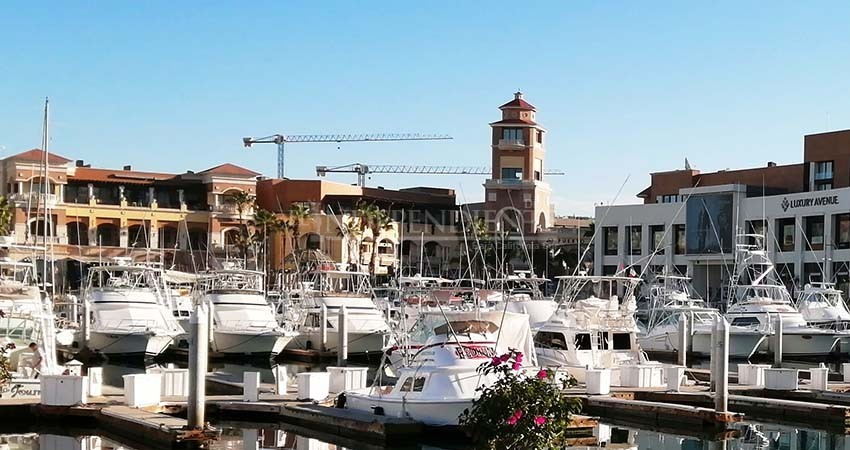 Puertos de México inician planes de trabajo para activar la industria de cruceros