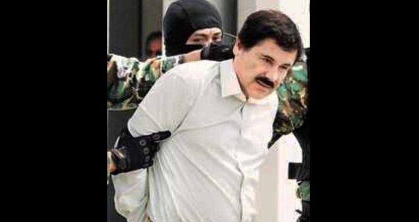 Quedó trunca enorme operación ‘antinarco’ iniciada hace 22 años