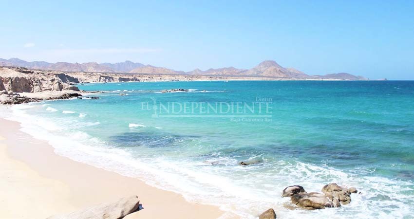 Ausencia humana por Pandemia beneficia ecosistemas en Cabo Pulmo