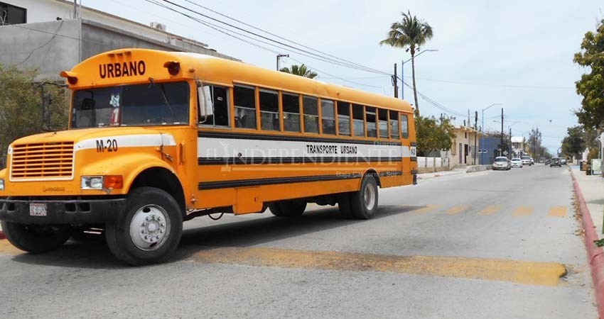Aplicadas al menos 20 infracciones al transporte urbano y colectivo por sobrecupo: Transporte Municipal 
