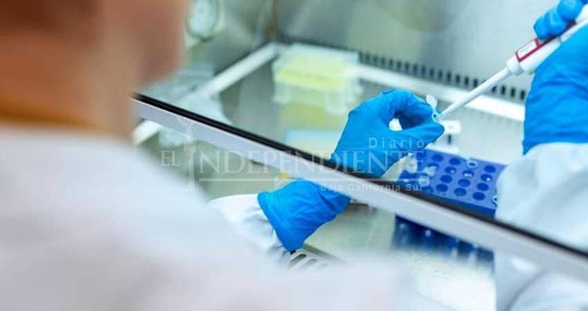 Autorizan a  laboratorios privados en BCS para hacer pruebas COVID-19