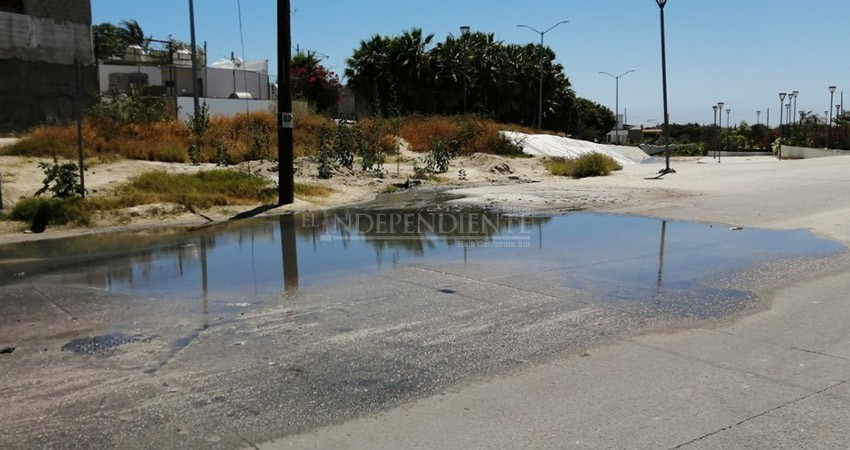 Contaminadas calles de colonia Hojazen de CSL por derrames de aguas negras