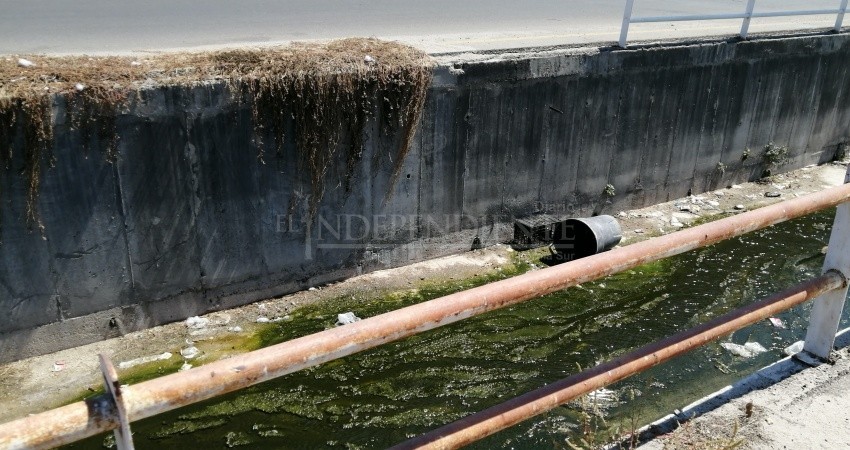 Contaminado por basura y aguas negras el canal pluvial de Miramar en CSL