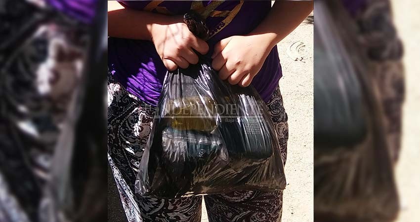 Insuficientes las despensas entregadas por Ayuntamiento de La Paz: Avilés Castro