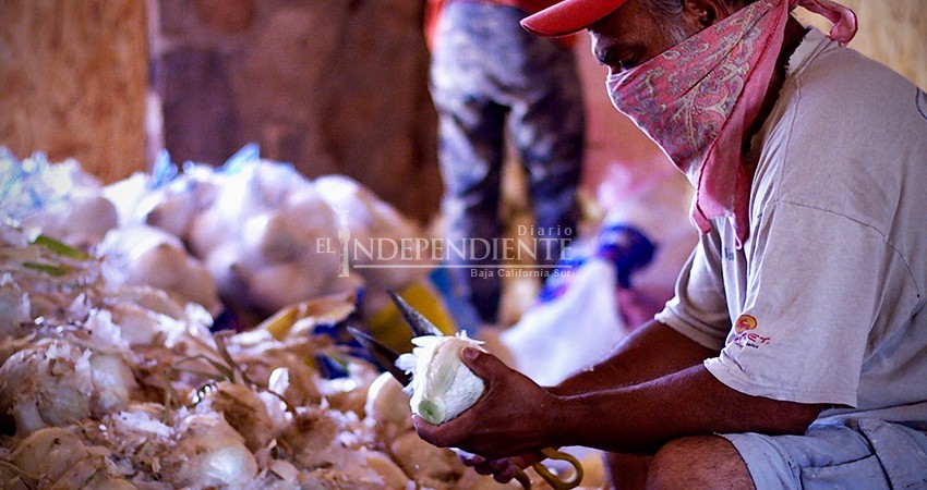 No paramos por COVID-19, los ranchos ya estábamos “aislados”: Agricultor