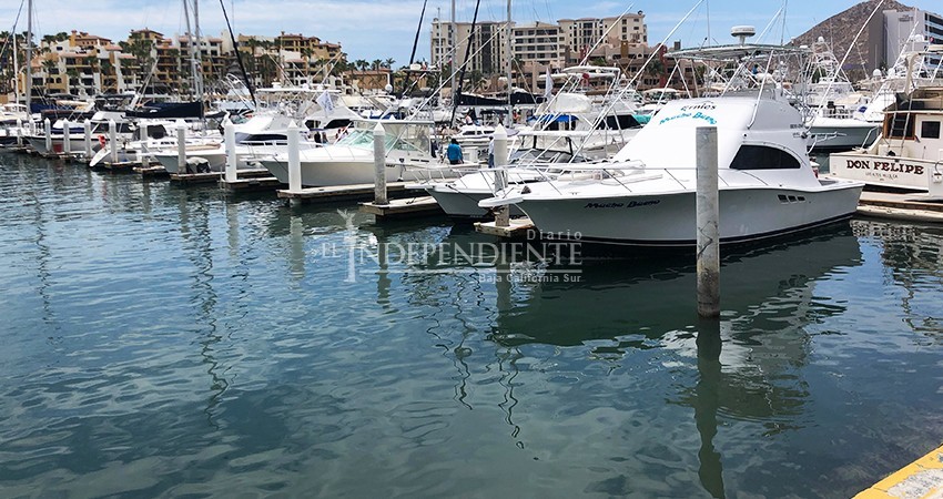 Embarcaciones turísticas también deberán someterse a protocolos de sanidad para retomar actividades