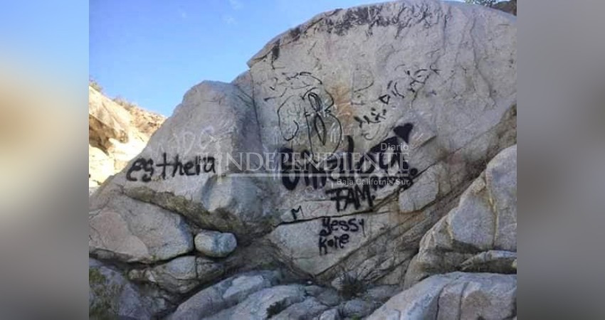 Insanos ciudadanos dañan patrimonio federal en Los Cabos