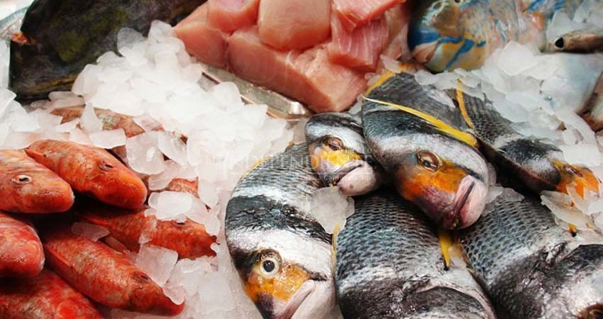 COVID-19: Piden regidores “abrir” pesca a partir del 1 de junio