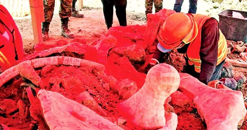 Destinan 12 mdp para rescate paleontológico en obras del Aeropuerto de Santa Lucía