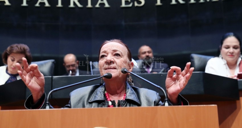 “Debemos regularizar la cannabis para lograr la paz” Lucía Trasviña