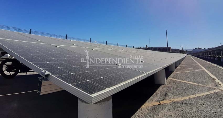 Venderemos energía solar a la CFE: Rubén Muñoz