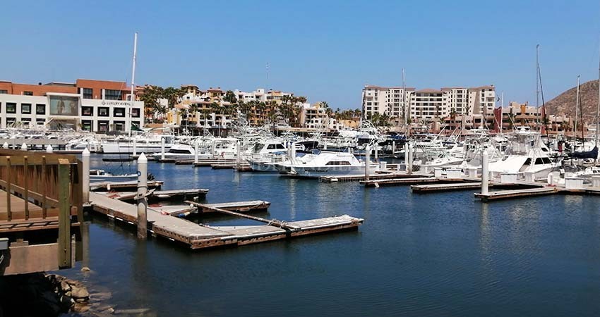 Sin servicios, la marina turística de Cabo San Lucas luce limpia y bonita