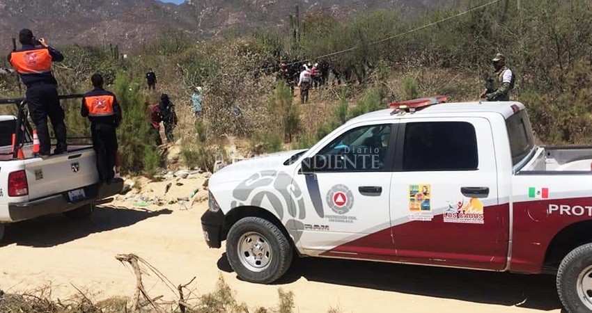 Aunque han disminuido, los desmontes ilegales persisten: Ecología