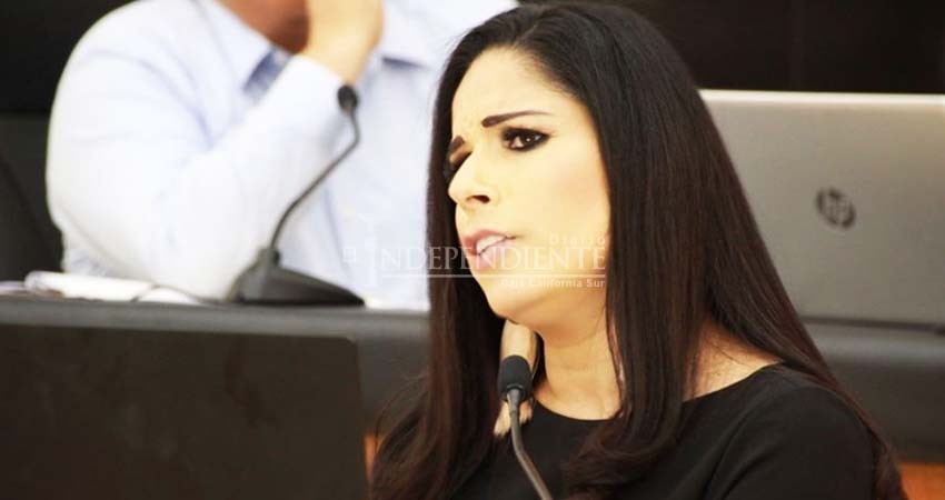 Diputados de MORENA han actuado “al borde de la locura”: Perla Flores