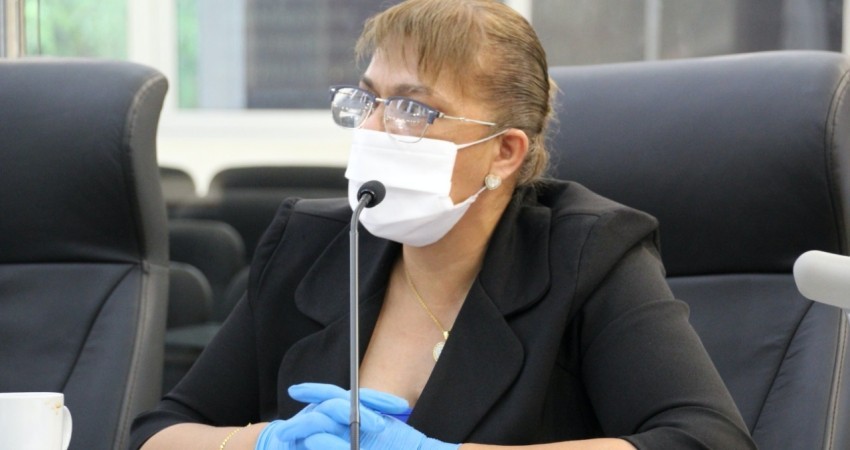 Exhorta la diputada Rocha al Ejecutivo Federal, CEE y CFE otorgar de manera urgente la tarifa 1F a BCS