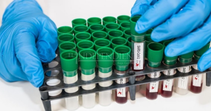 Baja considerablemente los movimientos COVID-19 en BCS