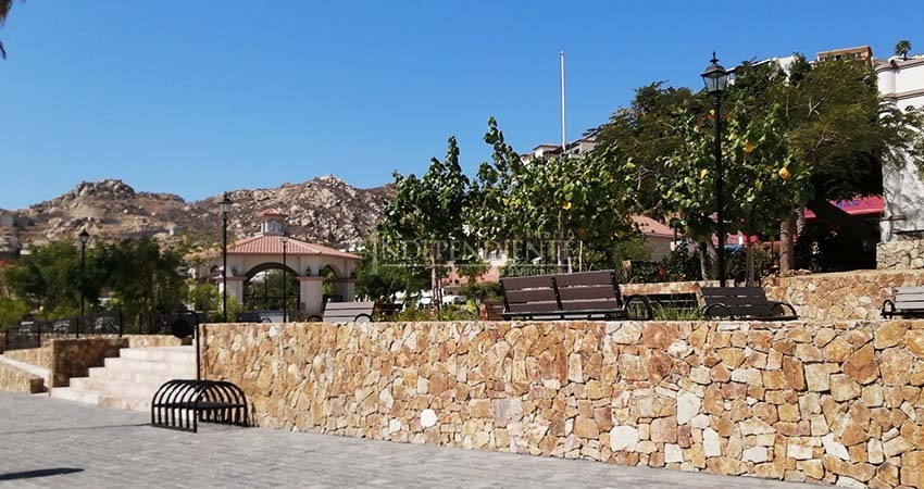 Bienvenidas las mascotas a reglamentos para espacios públicos en Los Cabos