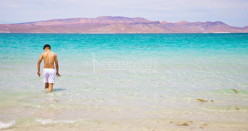 Foro ciudadano plantea propuestas para uso playas de La Paz en la nueva normalidad