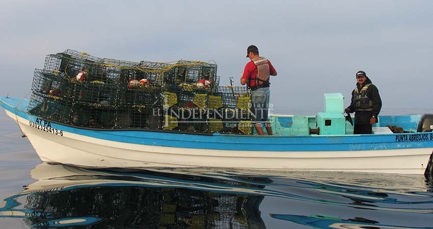 Amplían la temporada de abulón; hay graves afectaciones en el sector pesquero