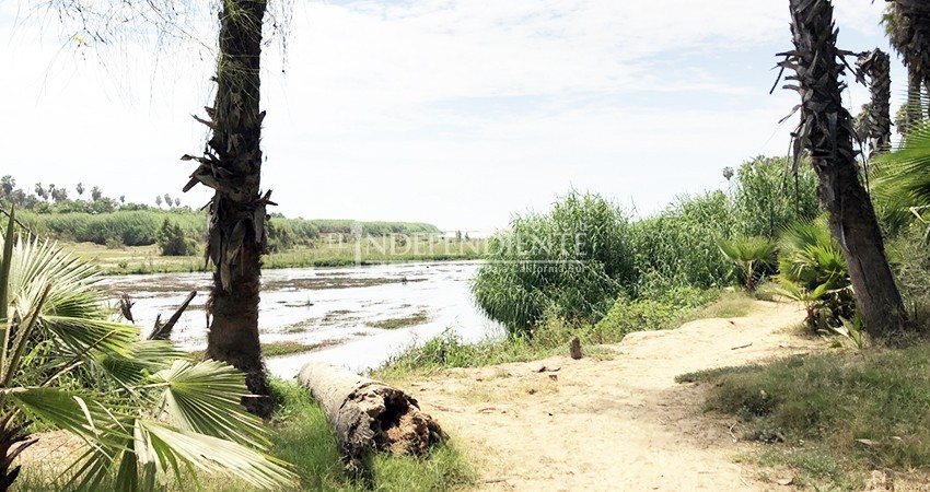 De nuevo violan reglamento y abren bocana del Estero causando grave daño 