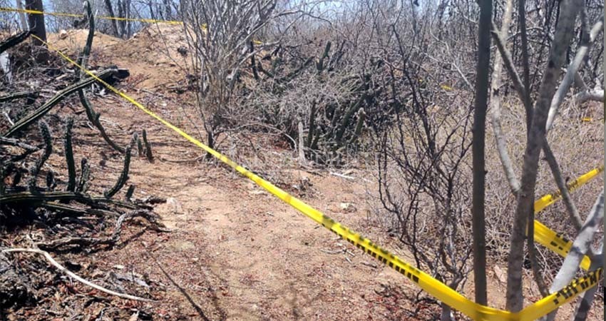 Vizcaíno en medio de una ola de violencia; asesinan a un buscador de personas desaparecidas