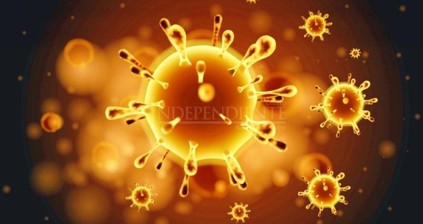 A la baja la cifra de casos activos COVID-19 en BCS