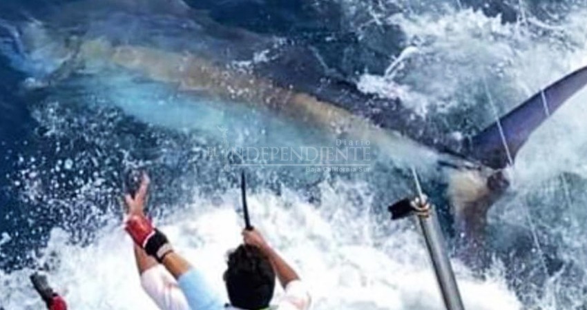 Abiertas inscripciones para próximos torneos Bisbee's en Los Cabos