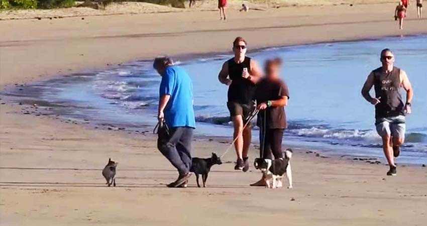 Así arrestaron a Peter Foster, uno de los grandes estafadores