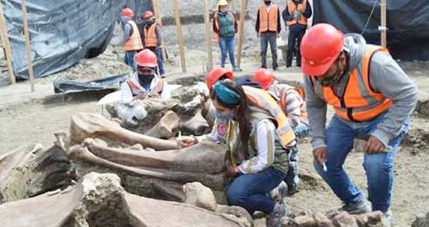Yacimiento de fósiles se halla en apenas 1% del futuro aeropuerto