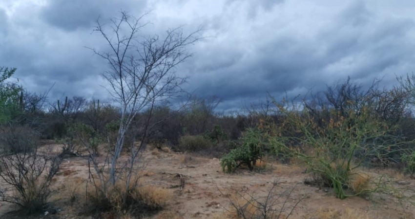 Los ciclones del pacífico mexicano y su impacto en BCS