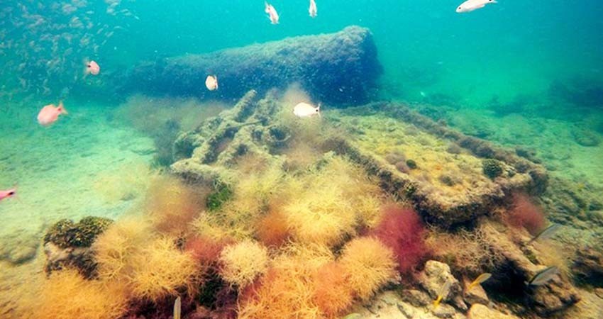 Hallan en Yucatán primer barco usado para tráfico de esclavos mayas