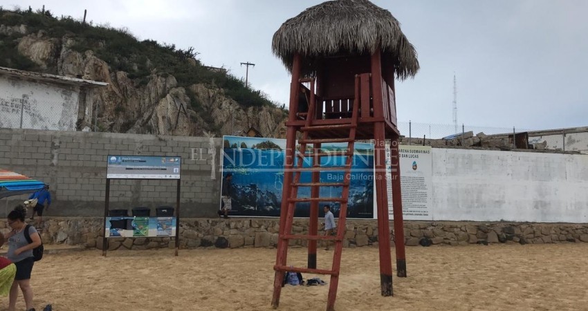 Rendirán homenaje a salvavidas fallecido durante huracán Genevieve