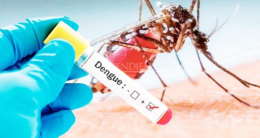 Registra SSA 4 casos de dengue en lo que va de 2020