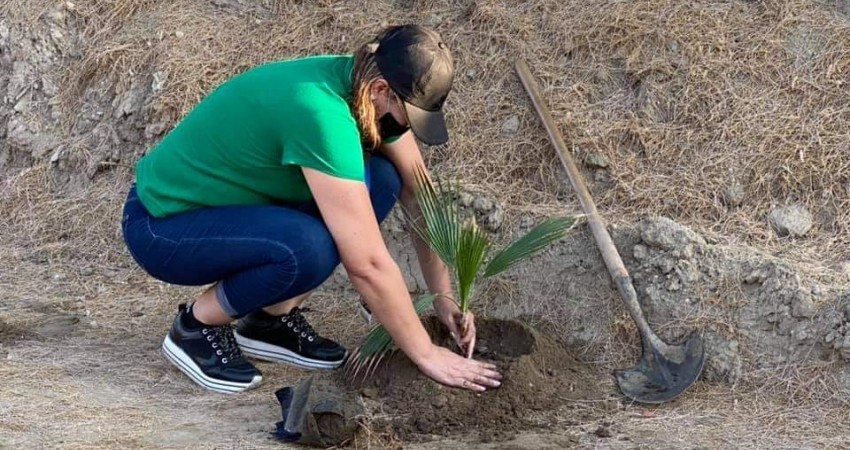 Avanza programa de reforestación en el “Eco-Parque de la Juventud”
