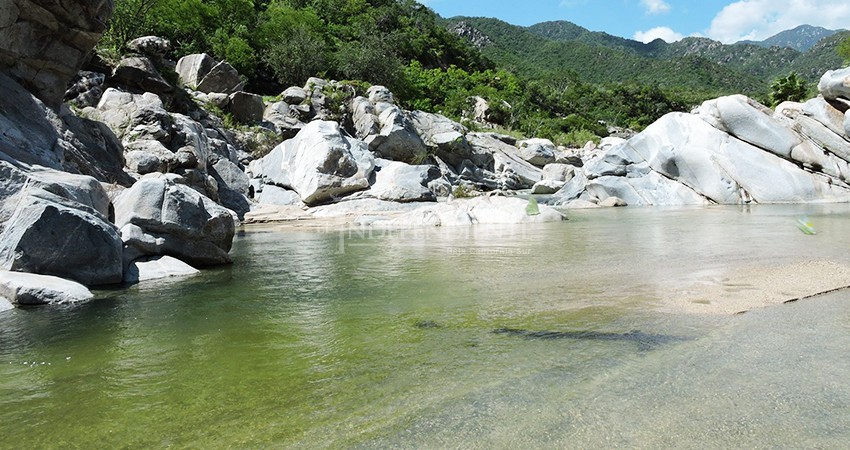 Denuncian ante Profepa a delegada de Santiago y al director de Ecología