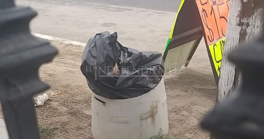 Comercio irregular contamina calle Aguajitos en CSL