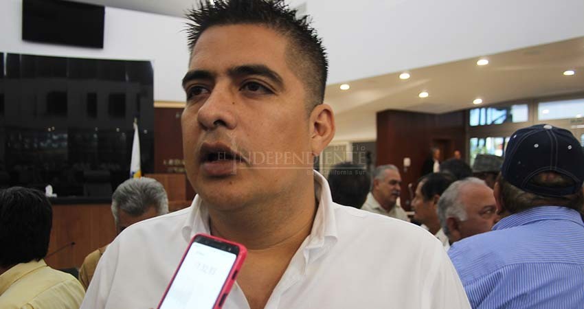 PRI y el PAN usan la paridad de género para hacer elecciones “a la medida”: PVEM