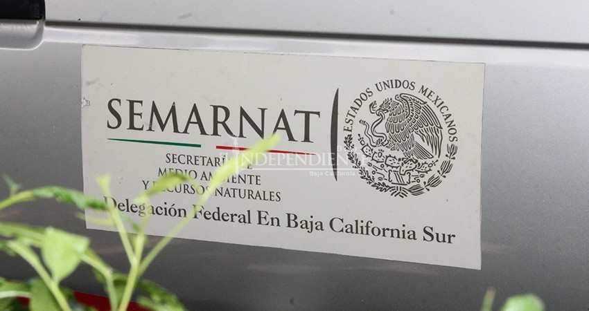 Semarnat dice no tener conocimiento de las acciones de Profepa en BCS