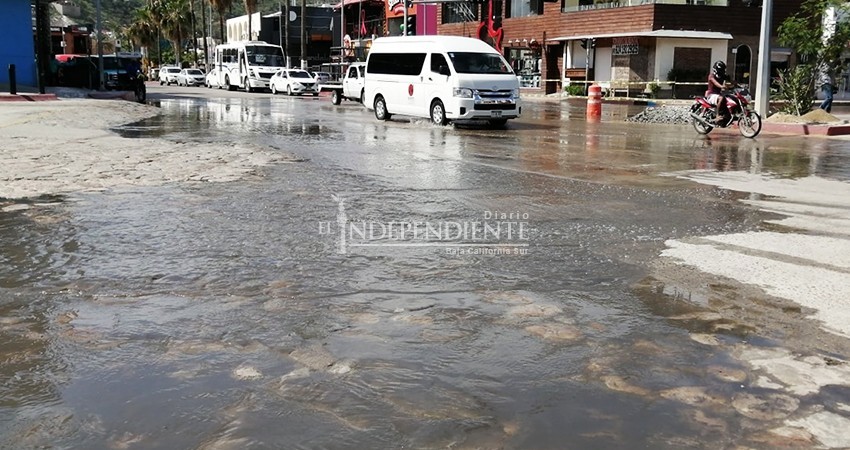 Cabo San Lucas, una ciudad distinta a la del informe de Armida Castro