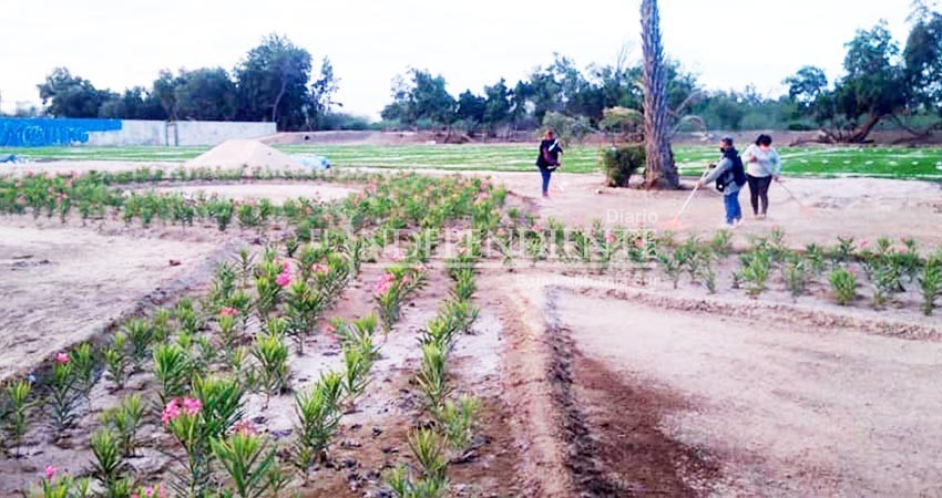 Niega Gobierno de BCS terreno para construcción de espacios deportivos 